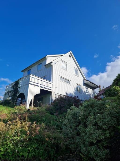 Villa Madsgard Etnesjoen Exterior foto