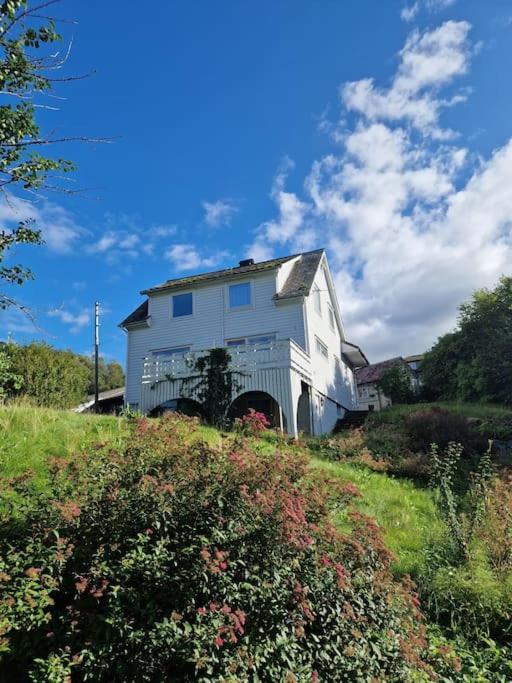 Villa Madsgard Etnesjoen Exterior foto